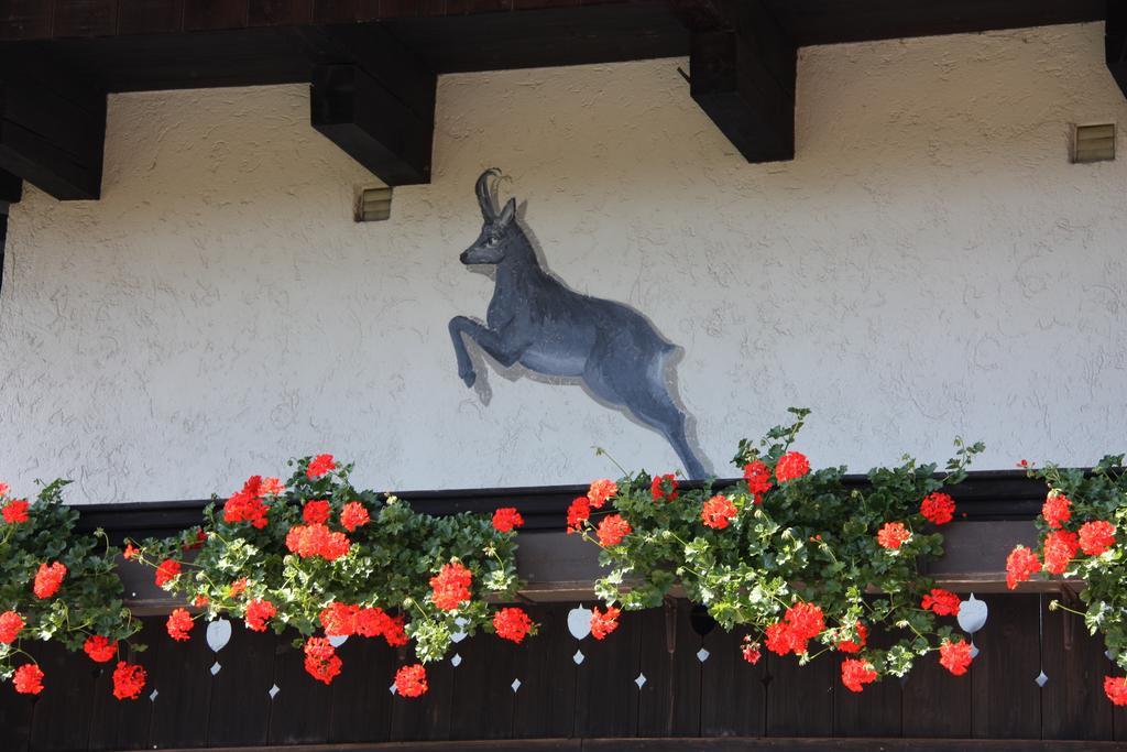 Pension Blauer Gamsbock Kiefersfelden Exterior foto